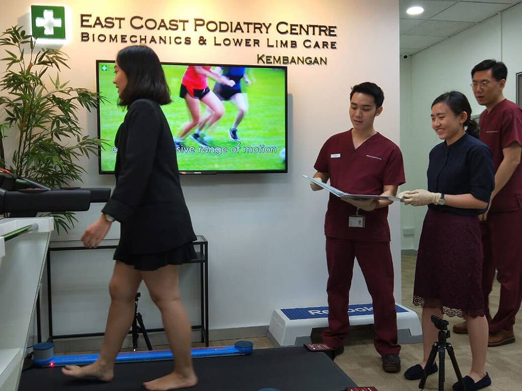 ECPC | Internship - Jia Hui